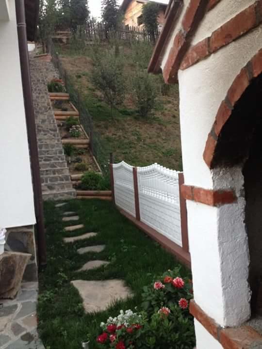 Pensiunea Rustic Borsa  Kültér fotó