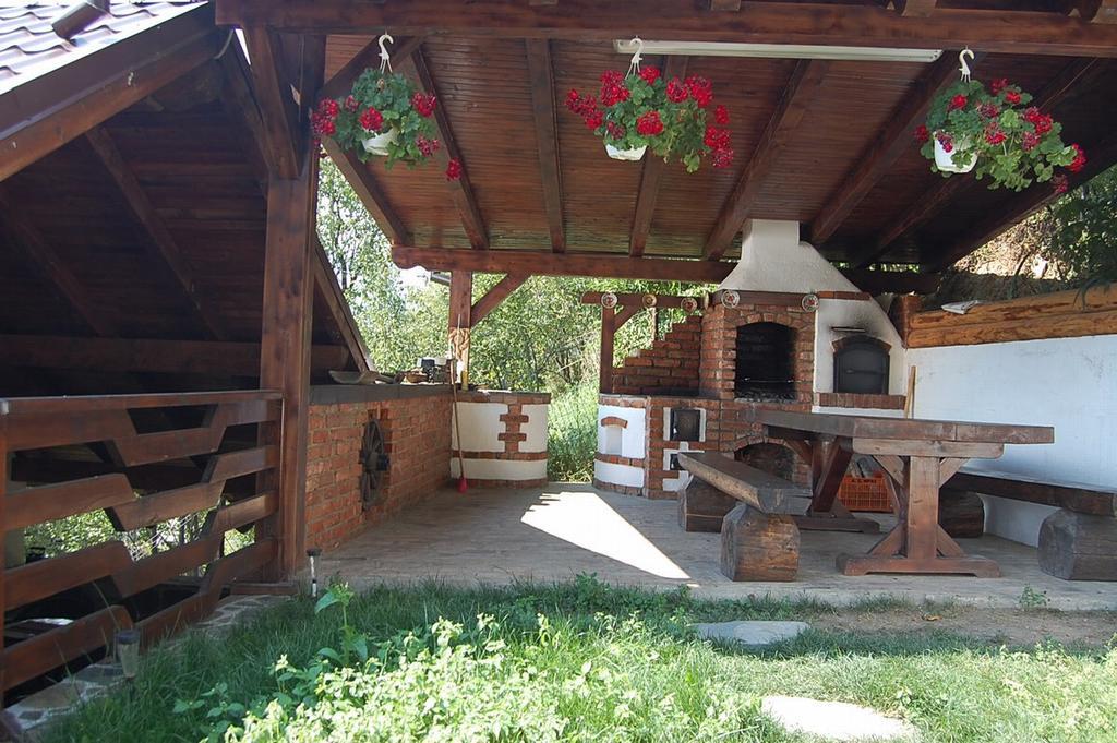 Pensiunea Rustic Borsa  Kültér fotó