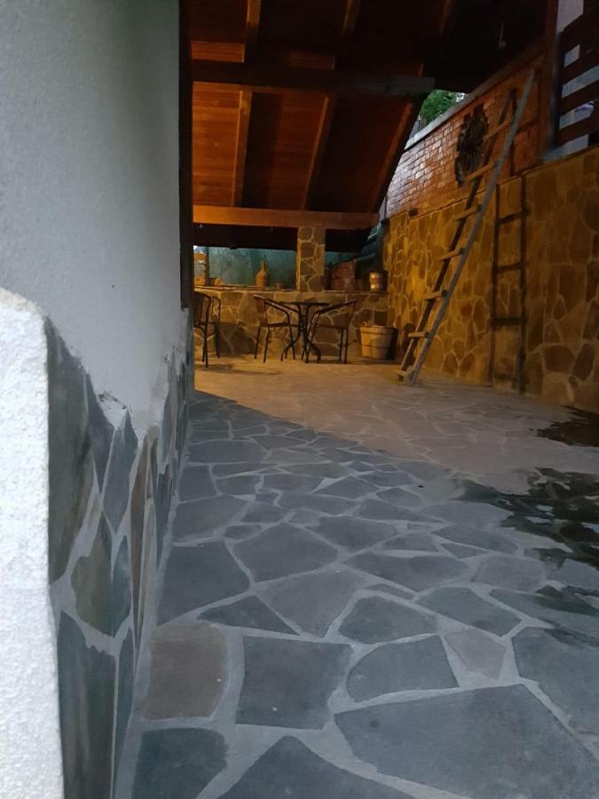 Pensiunea Rustic Borsa  Kültér fotó