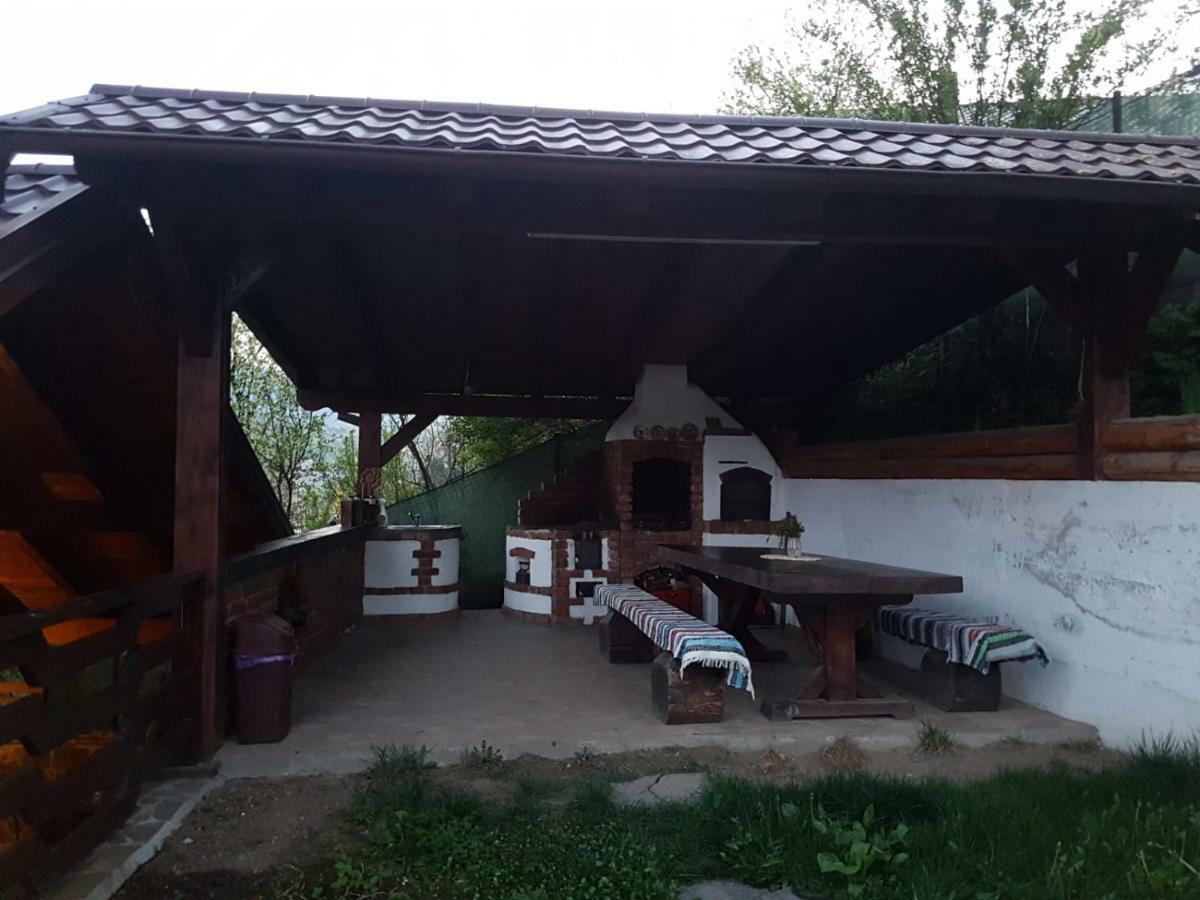 Pensiunea Rustic Borsa  Kültér fotó